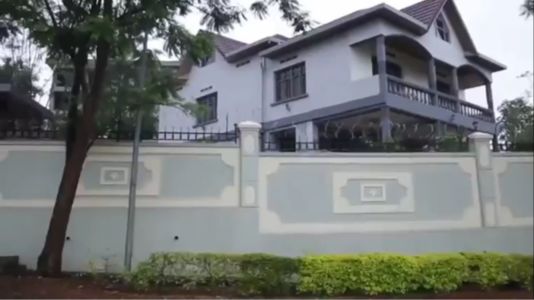 Diane Rwigara8