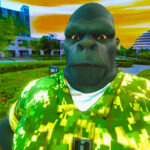 Gorilla