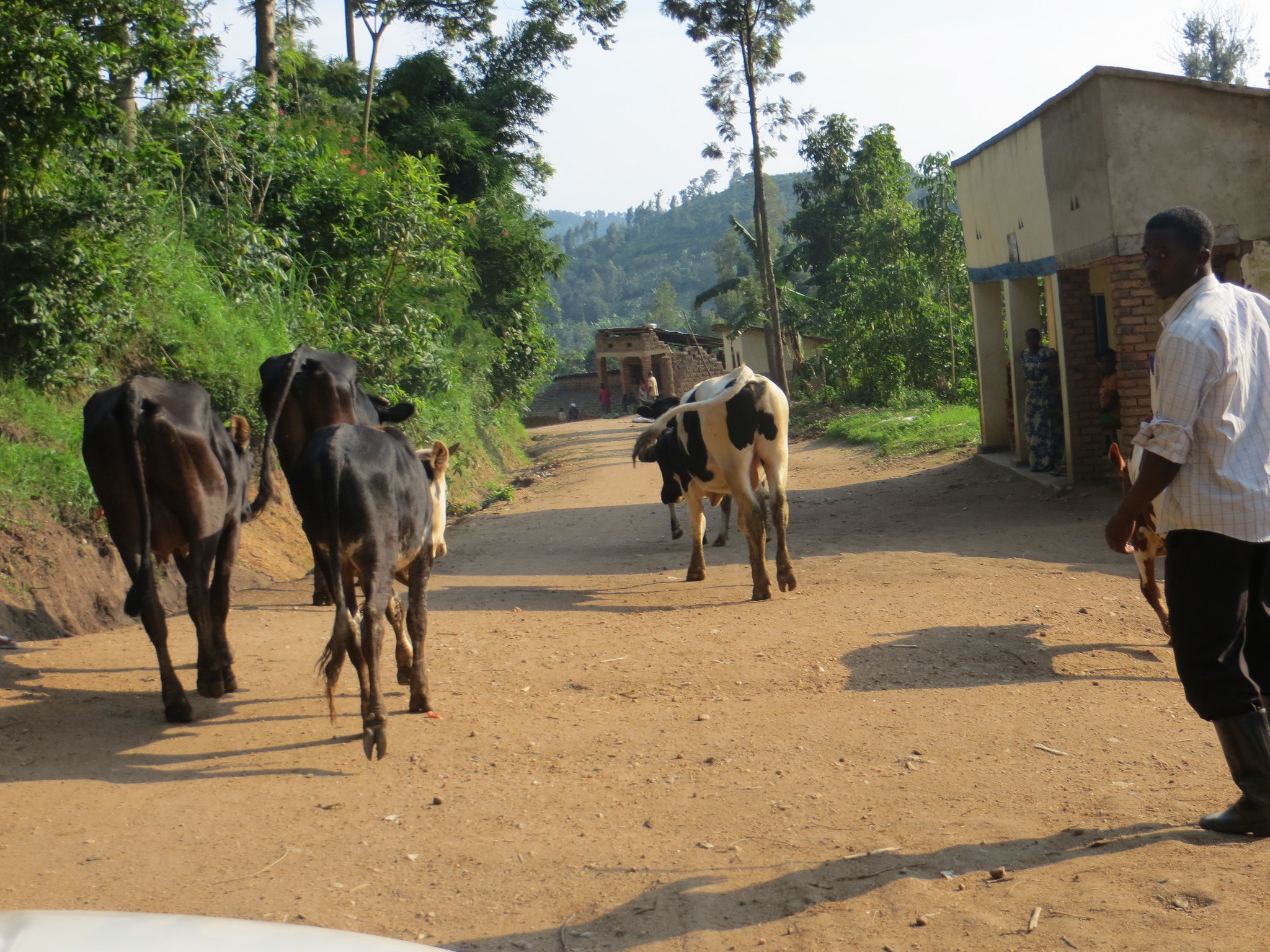 Rwanda Rwanda