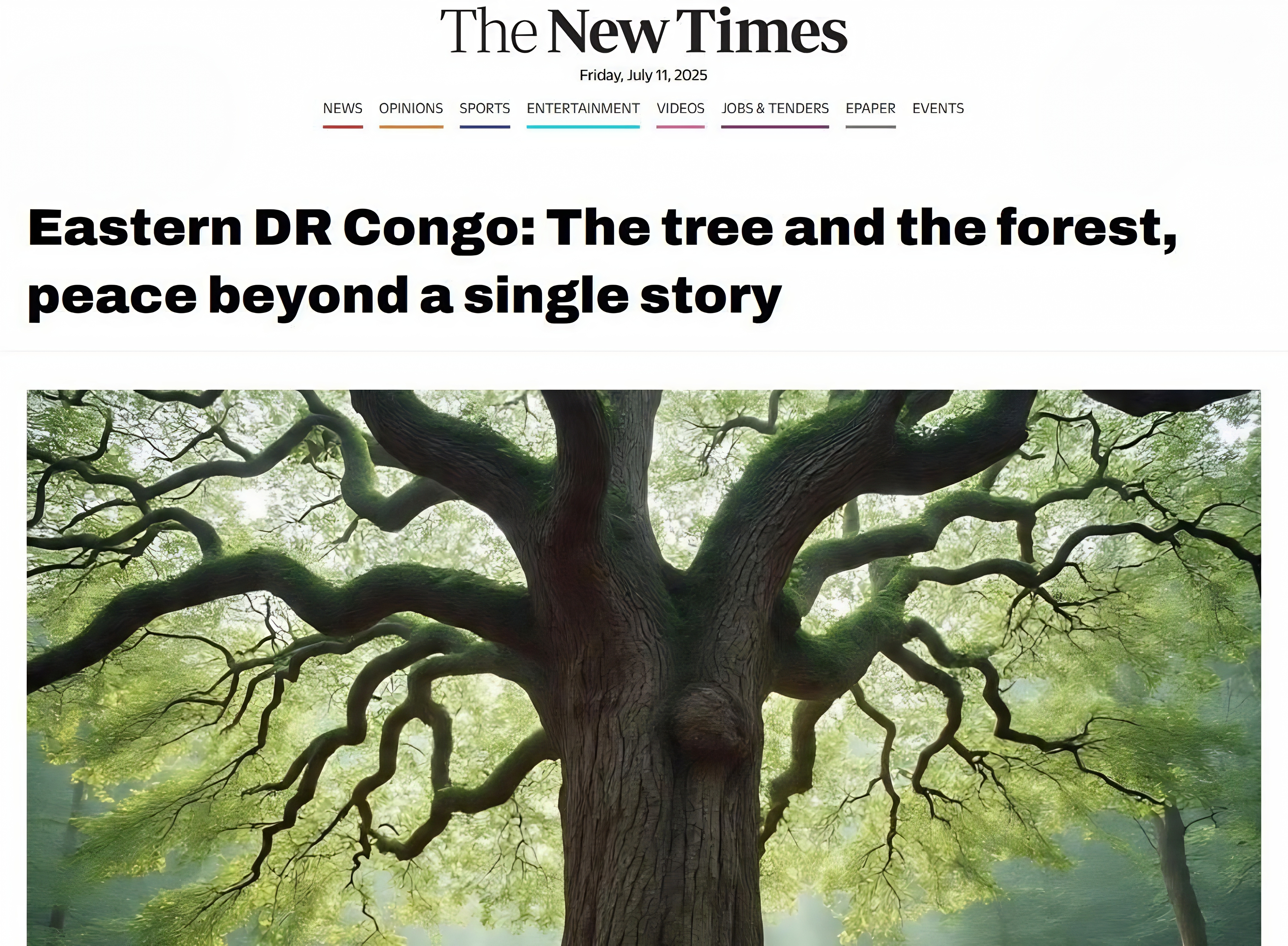 Rwanda's Congo Aggression